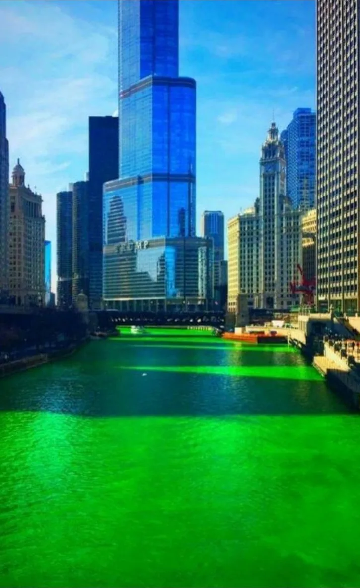 The Chicago River dyed bright green between glass towers